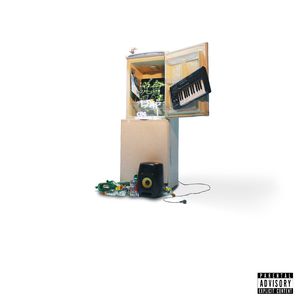 BonniGee熟妇乱婬AV片
