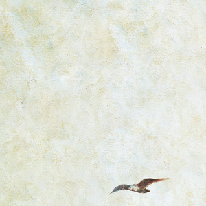 BonniGee熟妇乱婬AV片
